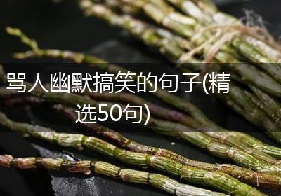 骂人幽默搞笑的句子(精选50句)