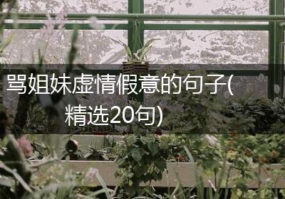 骂姐妹虚情假意的句子(精选20句)