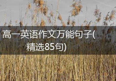 高一英语作文万能句子(精选85句)
