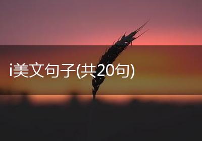 i美文句子(共20句)