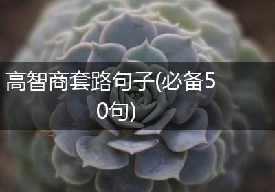 高智商套路句子(必备50句)