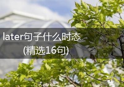 later句子什么时态(精选16句)
