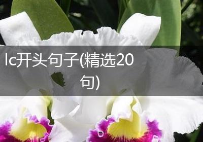 lc开头句子(精选20句)
