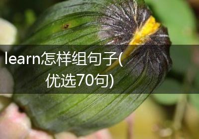 learn怎样组句子(优选70句)