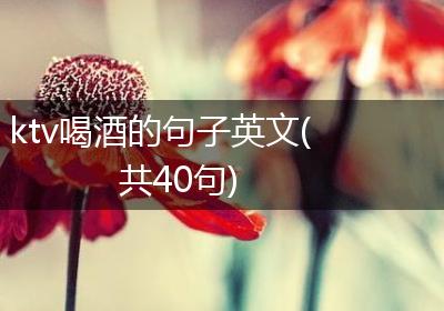 ktv喝酒的句子英文(共40句)