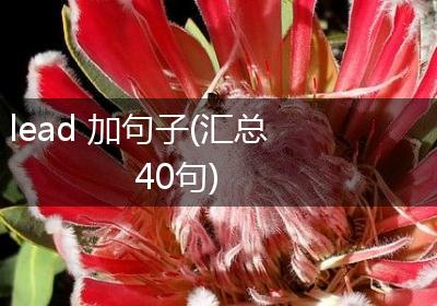 lead 加句子(汇总40句)