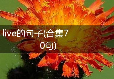 live的句子(合集70句)