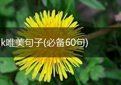 k唯美句子(必备60句)