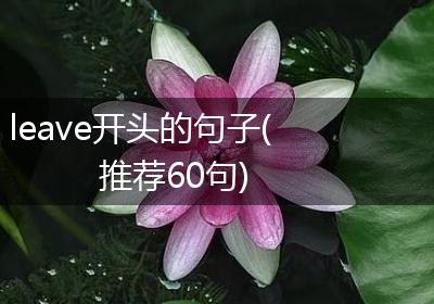 leave开头的句子(推荐60句)