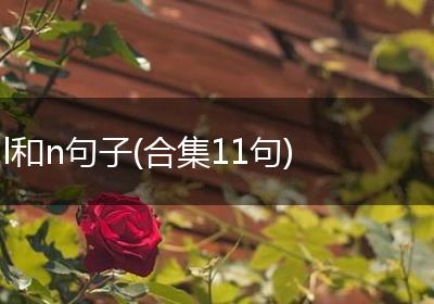 l和n句子(合集11句)