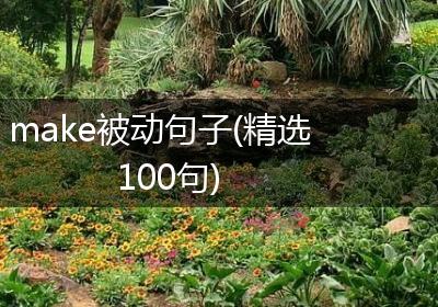 make被动句子(精选100句)
