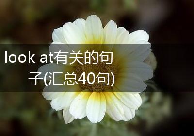 look at有关的句子(汇总40句)