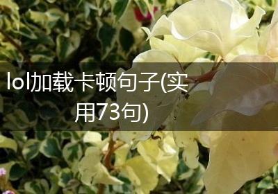 lol加载卡顿句子(实用73句)