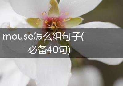 mouse怎么组句子(必备40句)