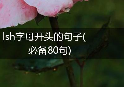 lsh字母开头的句子(必备80句)
