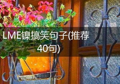 LME镍搞笑句子(推荐40句)