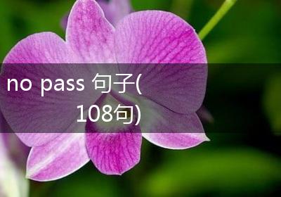 no pass 句子(108句)