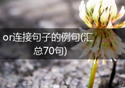 or连接句子的例句(汇总70句)