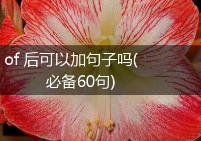 of 后可以加句子吗(必备60句)