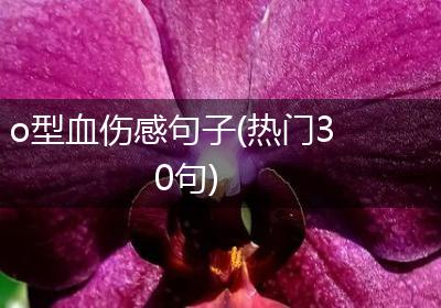 o型血伤感句子(热门30句)
