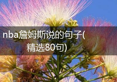 nba詹姆斯说的句子(精选80句)