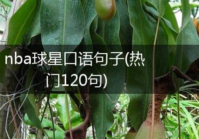 nba球星口语句子(热门120句)