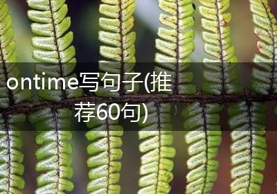 ontime写句子(推荐60句)