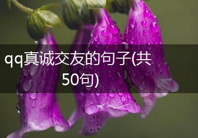 qq真诚交友的句子(共50句)