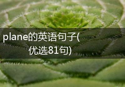 plane的英语句子(优选81句)