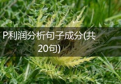 P利润分析句子成分(共20句)