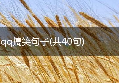 qq搞笑句子(共40句)