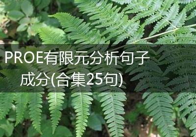 PROE有限元分析句子成分(合集25句)