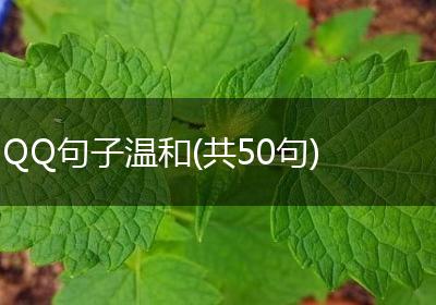 QQ句子温和(共50句)