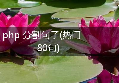 php 分割句子(热门80句)
