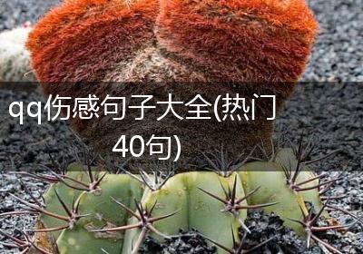 qq伤感句子大全(热门40句)