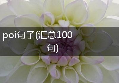 poi句子(汇总100句)