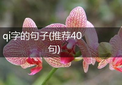 qi字的句子(推荐40句)