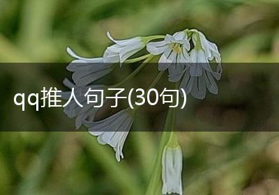 qq推人句子(30句)