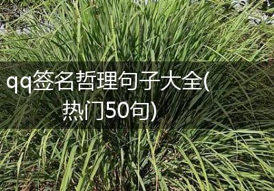qq签名哲理句子大全(热门50句)