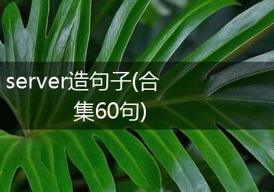 server造句子(合集60句)