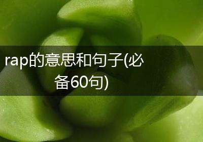 rap的意思和句子(必备60句)