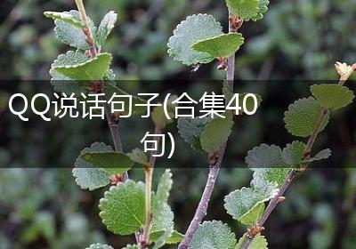 QQ说话句子(合集40句)