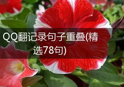 QQ翻记录句子重叠(精选78句)