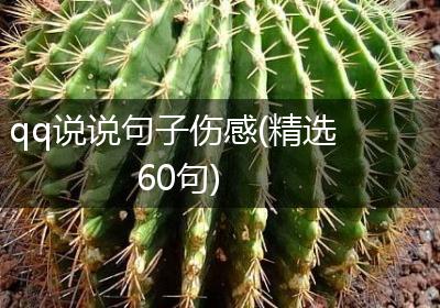 qq说说句子伤感(精选60句)