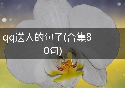 qq送人的句子(合集80句)