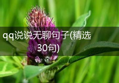 qq说说无聊句子(精选30句)