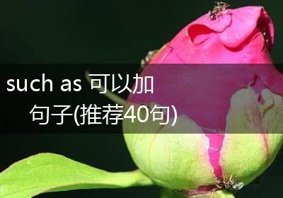 such as 可以加句子(推荐40句)