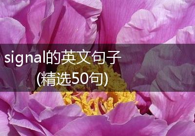 signal的英文句子(精选50句)