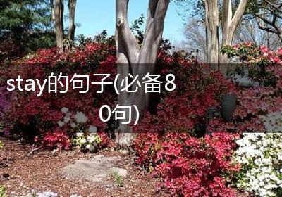 stay的句子(必备80句)