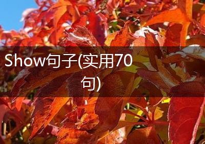 Show句子(实用70句)
